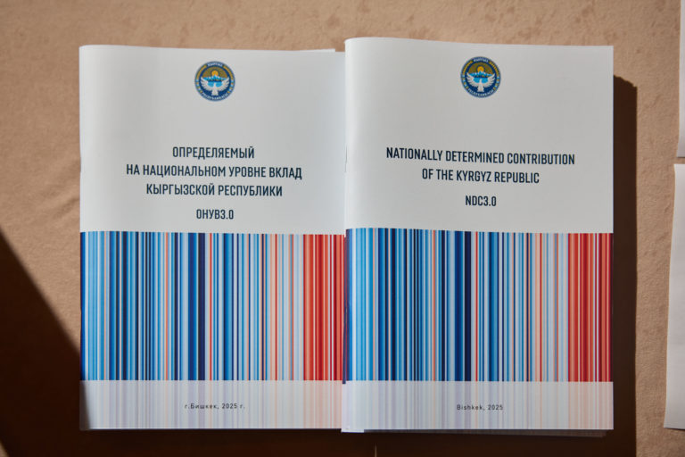 Обновлённый Определяемый на национальном уровне вклад (ОНУВ 3.0)